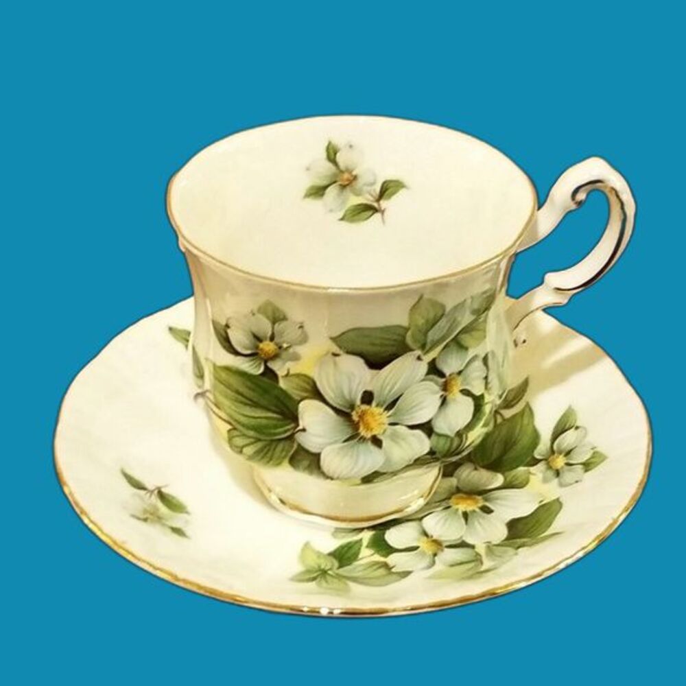 Vtg Paragon Teacup Saucer Set White Dogwood Canadian Provincial Flowers 1950s